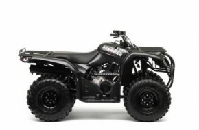 YFM 250 BRUIN - 